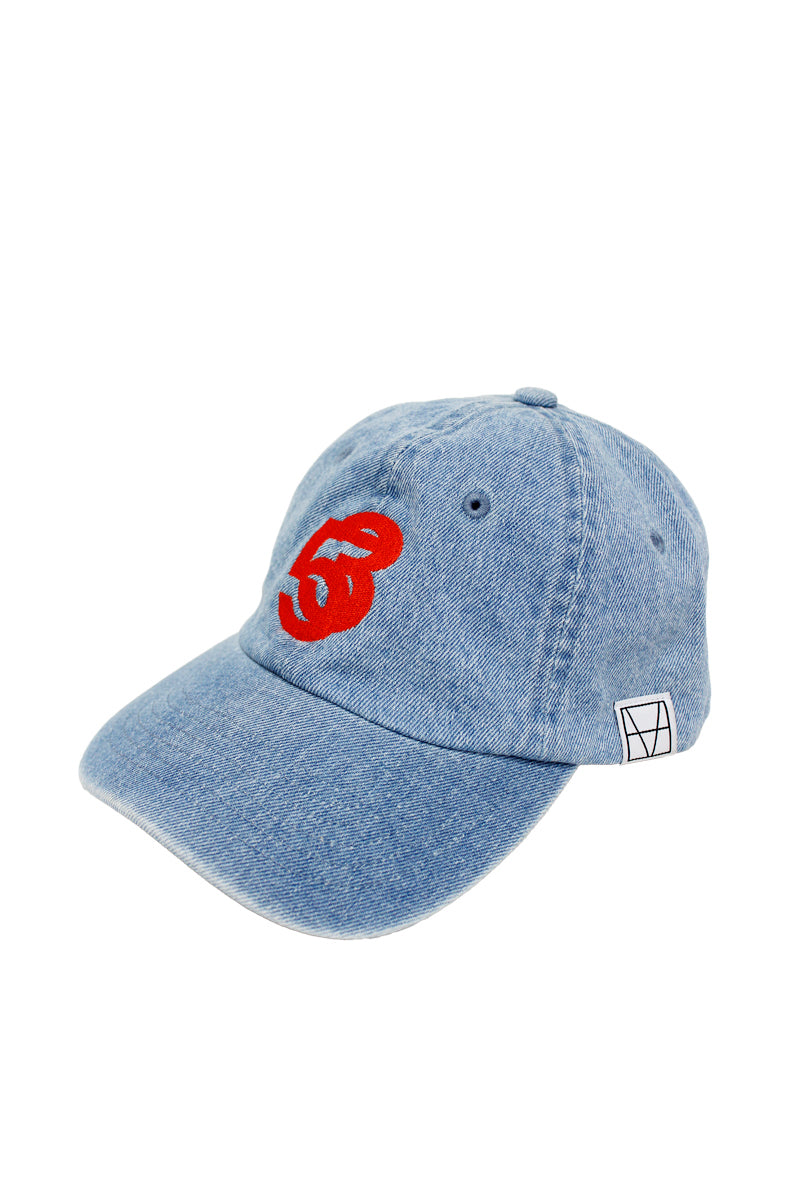 VISIONARY CAP