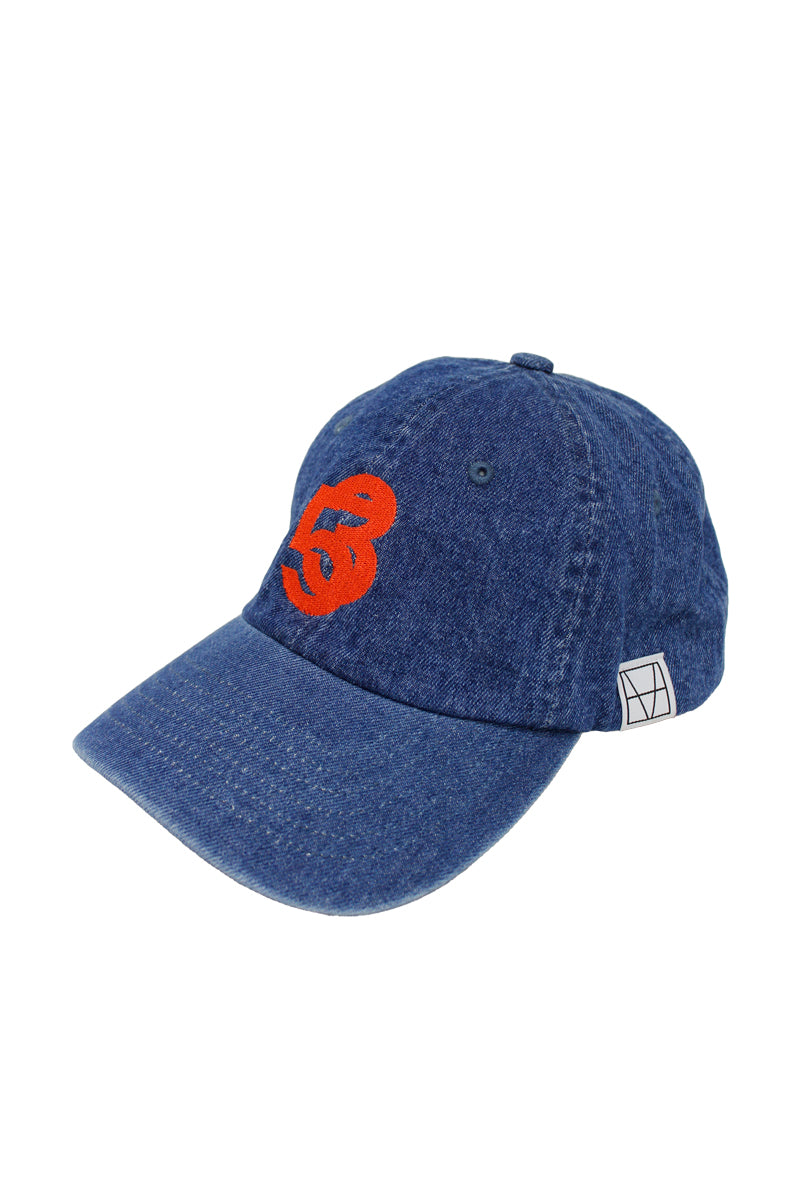 VISIONARY CAP