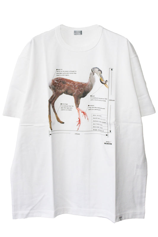 BEACON/プリントTシャツ(MEN)