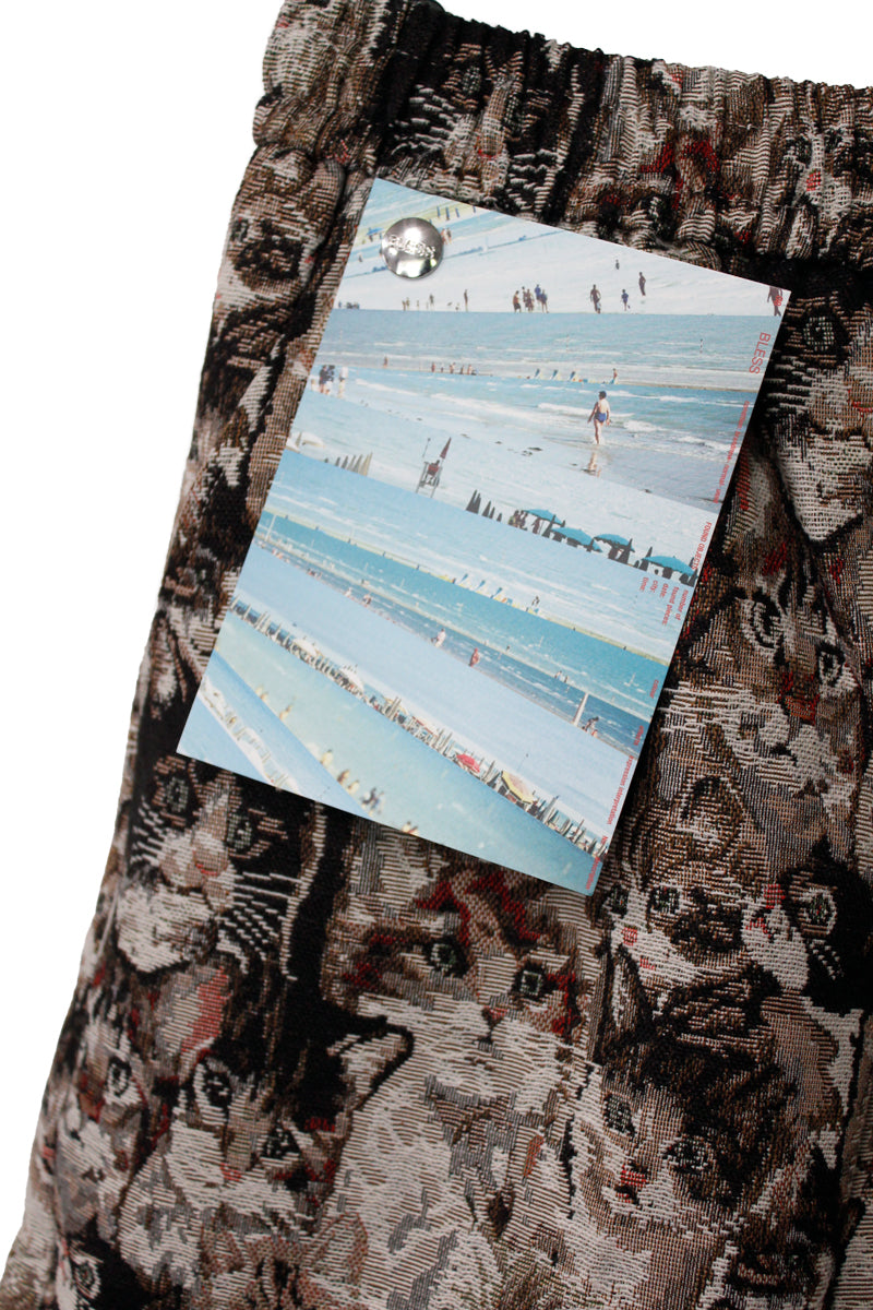 Cat short pants【25AW】