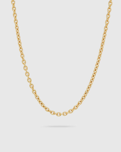 Ada Chain Slim Gold-17