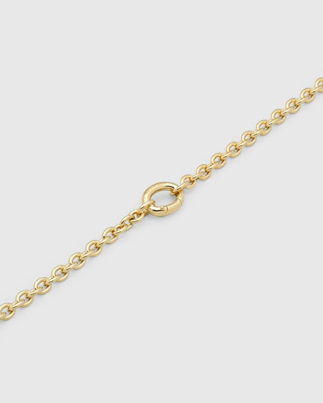 Ada Chain Slim Gold-17