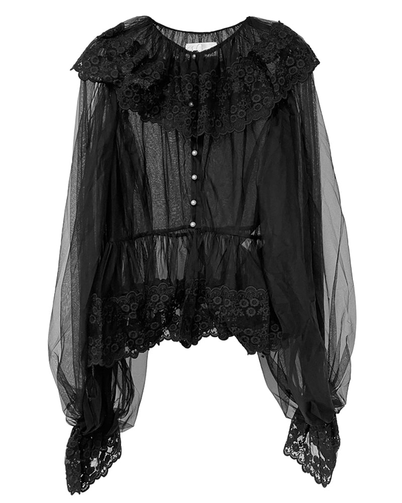 Dentelle Tape Tulle Blouse