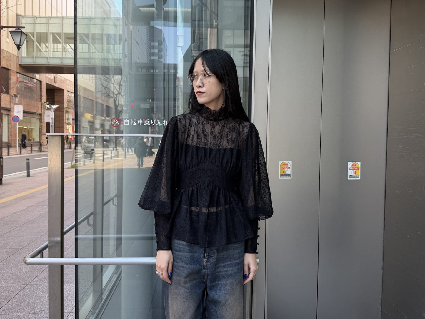 Gossamer Lace Chemisette