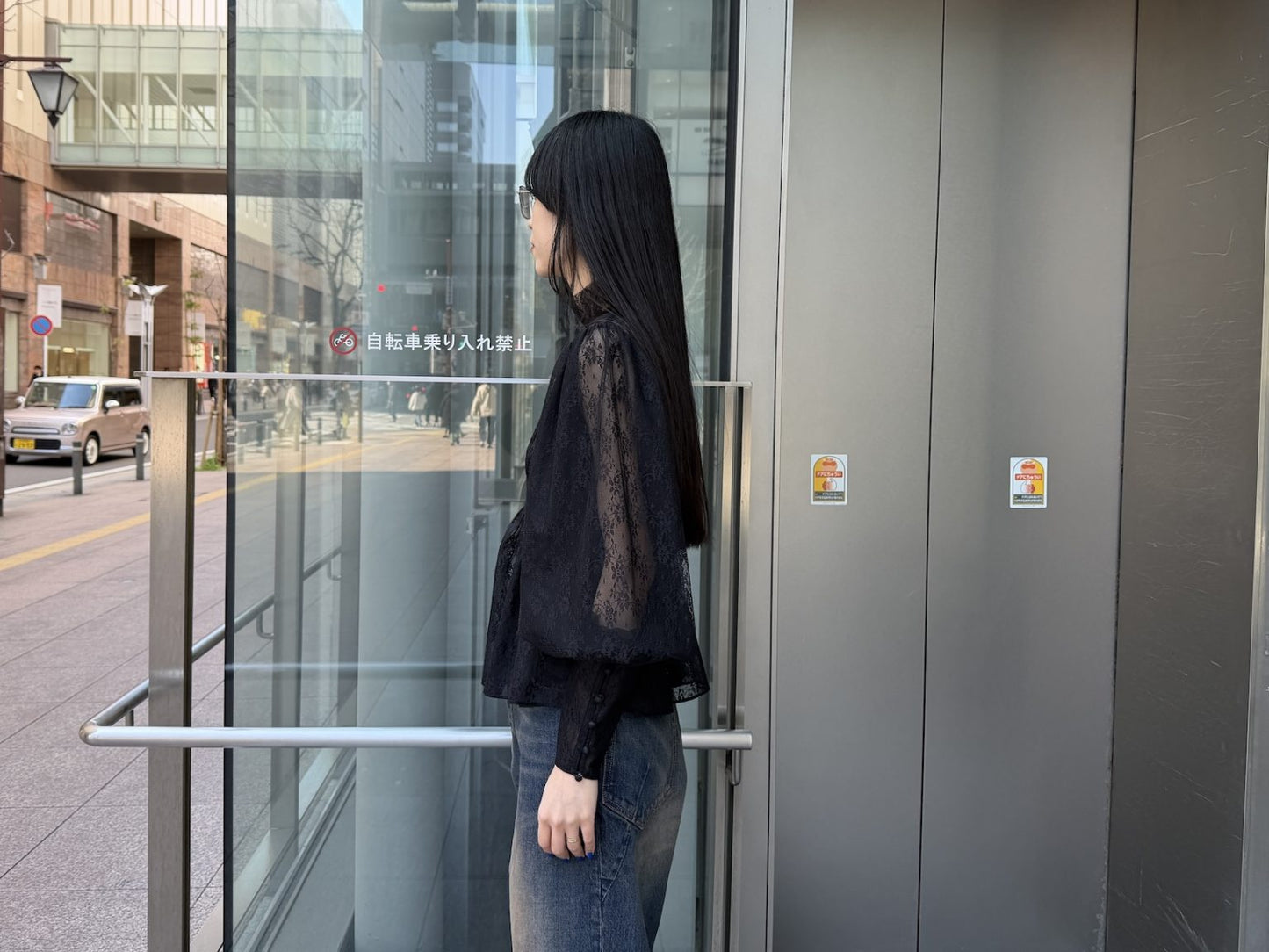 Gossamer Lace Chemisette