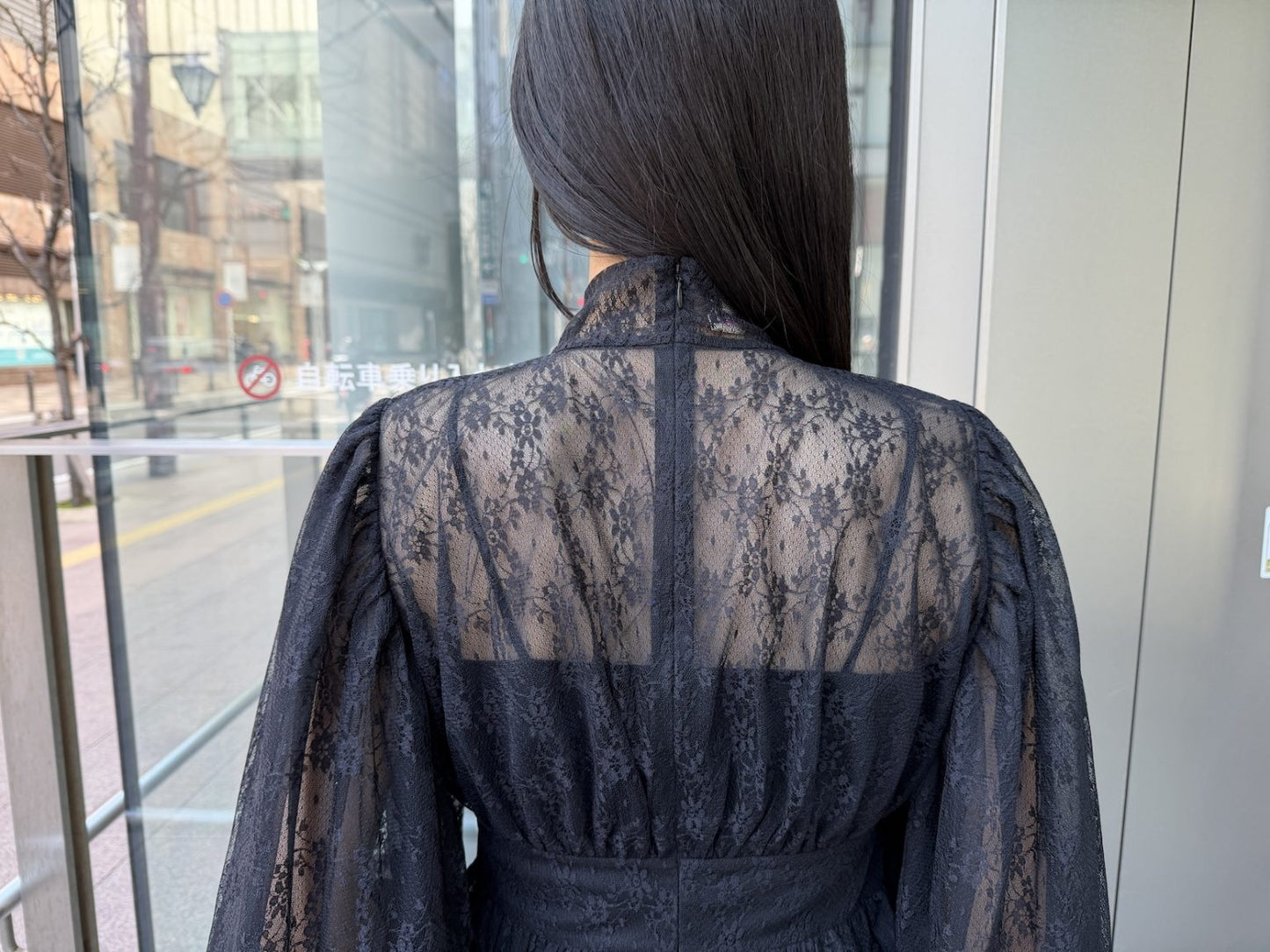 Gossamer Lace Chemisette