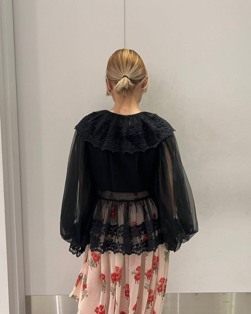 Dentelle Tape Tulle Blouse