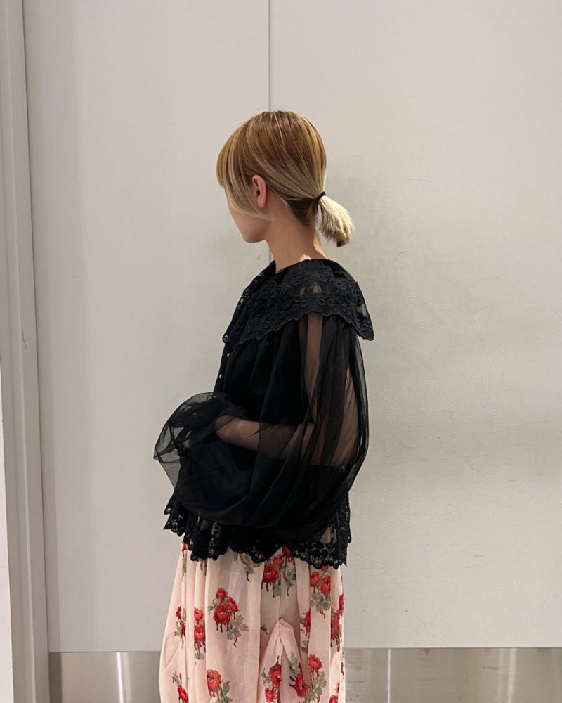 Dentelle Tape Tulle Blouse
