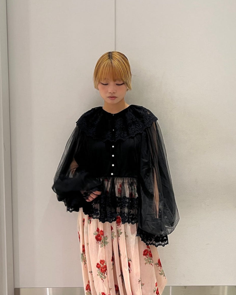 Dentelle Tape Tulle Blouse