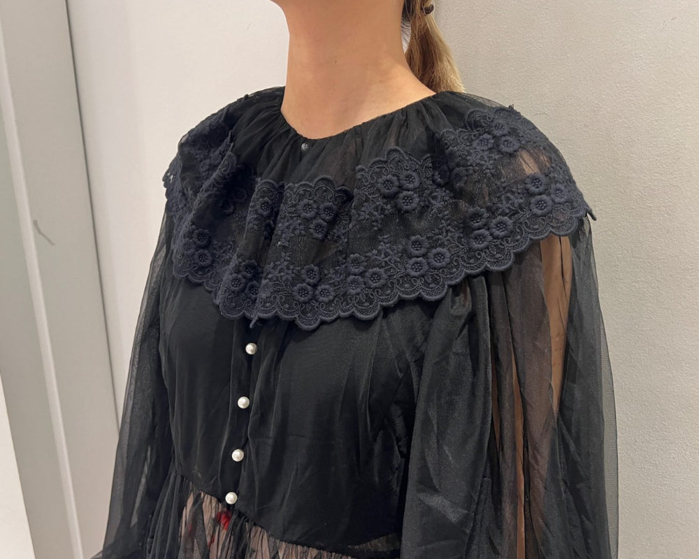 Dentelle Tape Tulle Blouse